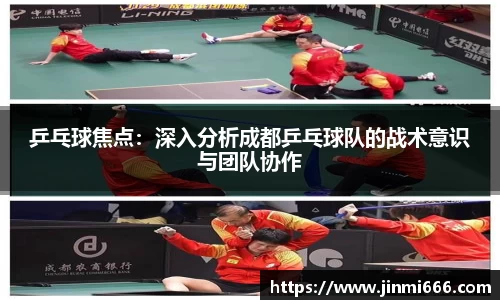 乒乓球焦点：深入分析成都乒乓球队的战术意识与团队协作