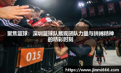 3377体育官网登录