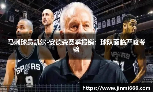 3377体育官网入口