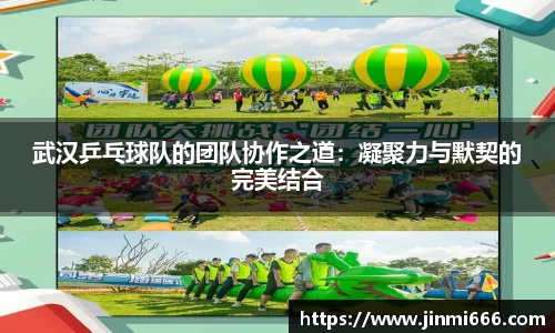 武汉乒乓球队的团队协作之道：凝聚力与默契的完美结合